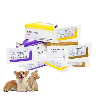 Αγορά Χειρουργική Χειρουργική Χειρουργική Χειρουργική Χειρουργική Χειρουργική σε απευθείας σύνδεση κατασκευή