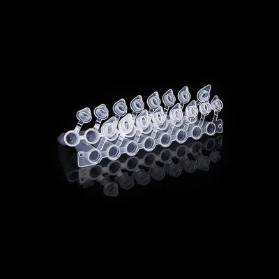 Καλή τιμή Ο θολωτός PCR καλυμμάτων 0.2ml σωλήνας 8 λουρίδα με συνημμένο PCR οκτώ ΚΑΠ σύνδεσε το σωλήνα σε απευθείας σύνδεση