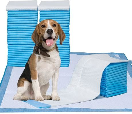Καλή τιμή 5-Ply Pet Training Pad με Super Absorbent SAP Υλικό, Αδιάβροχη PE Επένδυση και Επιφάνεια Γρήγορου Στεγνώματος για Σκύλους και Γάτες σε απευθείας σύνδεση