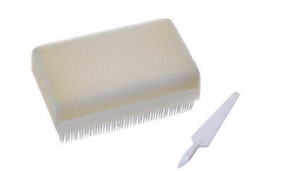 Καλή τιμή Βούρτσα καθαρισμού χεριών για ιατρική χρήση – Εργονομικά σχεδιασμένη, ανθεκτική, αντιβακτηριακή τρίχα για περιβάλλοντα υγειονομικής περίθαλψης σε απευθείας σύνδεση